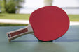 Donic Schildkrot Champs Line 300 Table Tennis Paddle Bat ITTF Approved RacketDonic Schildkrot