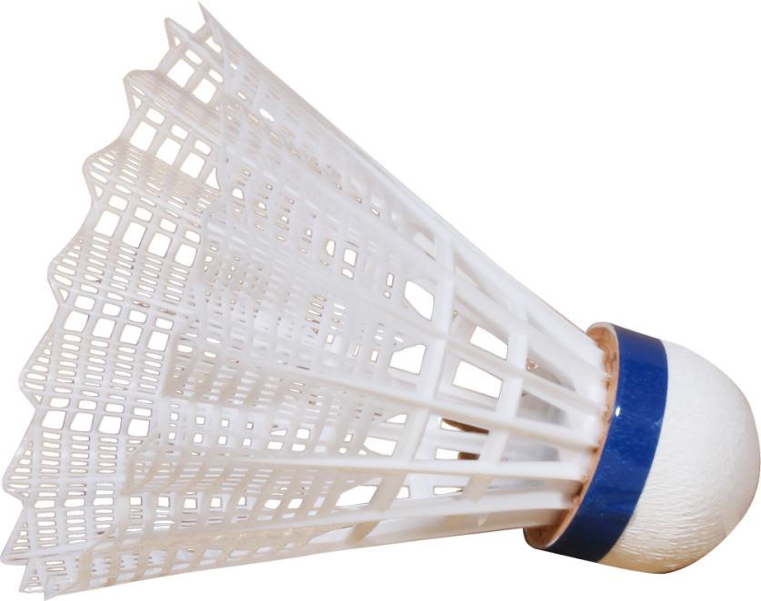 Victor Badminton Nylon Shuttlecock 500 Bronze 6PC Tube Medium Speed - White