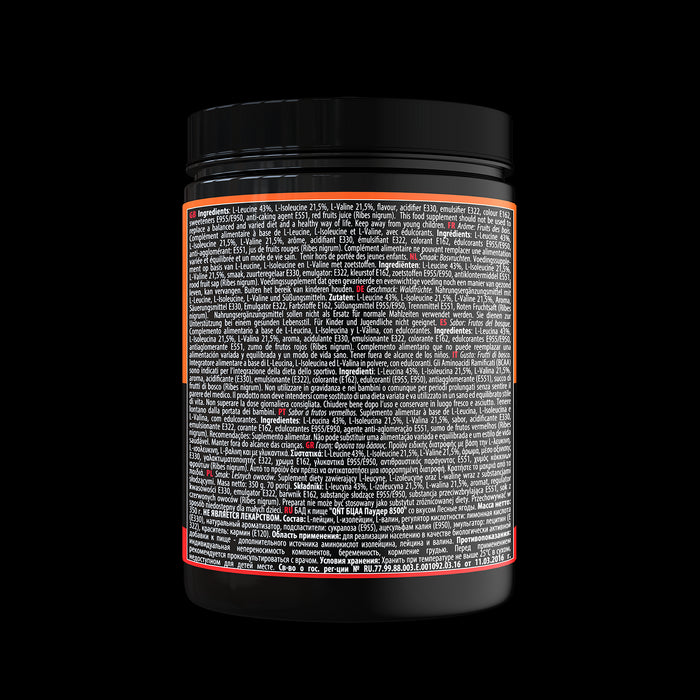 QNT BCAA 8500 Pre & Post Workout Energy & Recovery Instant Powder - 350g Fruits