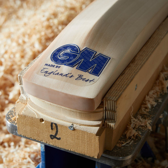 Gunn & Moore Senior Bat Brava L555 DXM 606 English Willow Cricket Pro Lite Grip