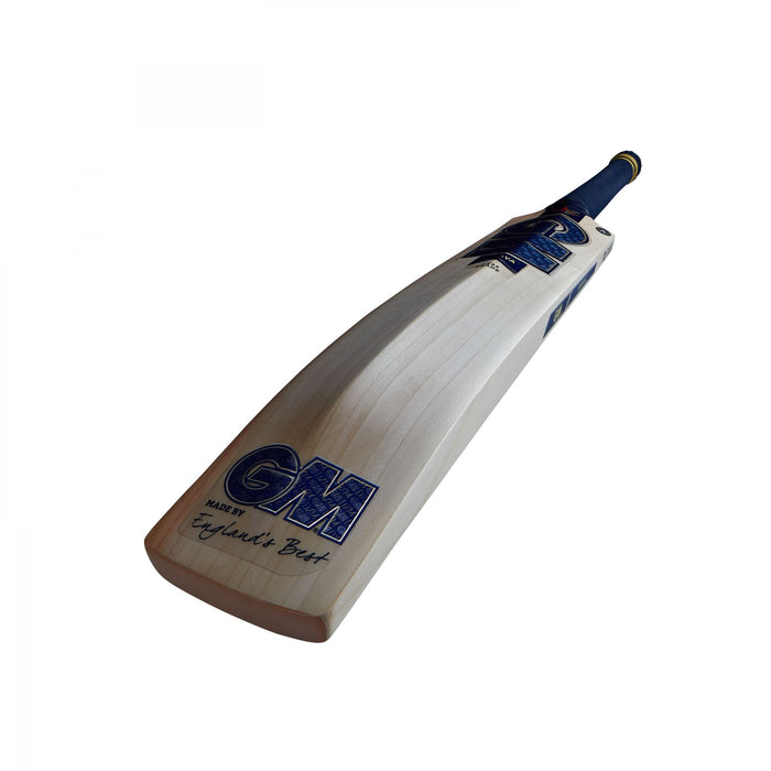 Gunn & Moore Senior Bat Brava L555 DXM 606 English Willow Cricket Pro Lite Grip