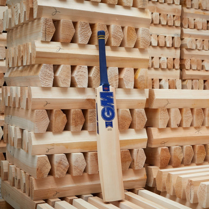Gunn & Moore Senior Bat Brava L555 DXM 606 English Willow Cricket Pro Lite Grip