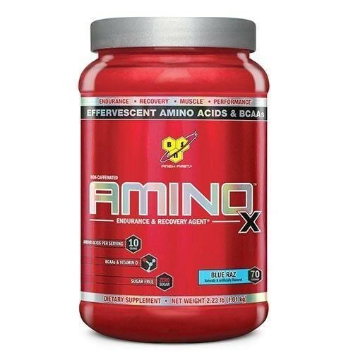 BSN Amino X BCAA Powder - Performance Endurance & Muscle Recovery - 1.01g
